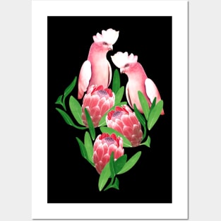Pair of Pretty Pink Cockatoos with Proteas Posters and Art